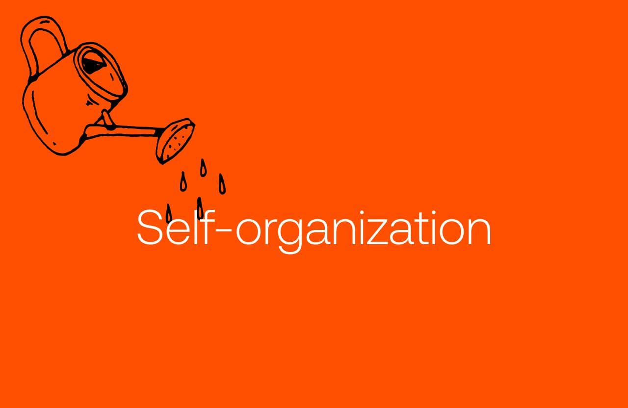 self organization